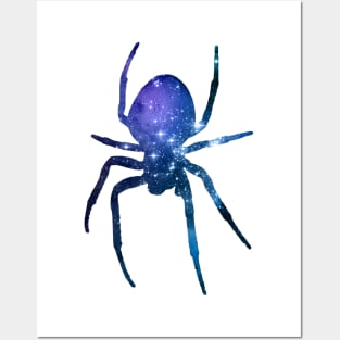 Spider Posters and Art